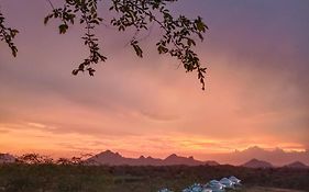 The Bagheera Bagh Jawai